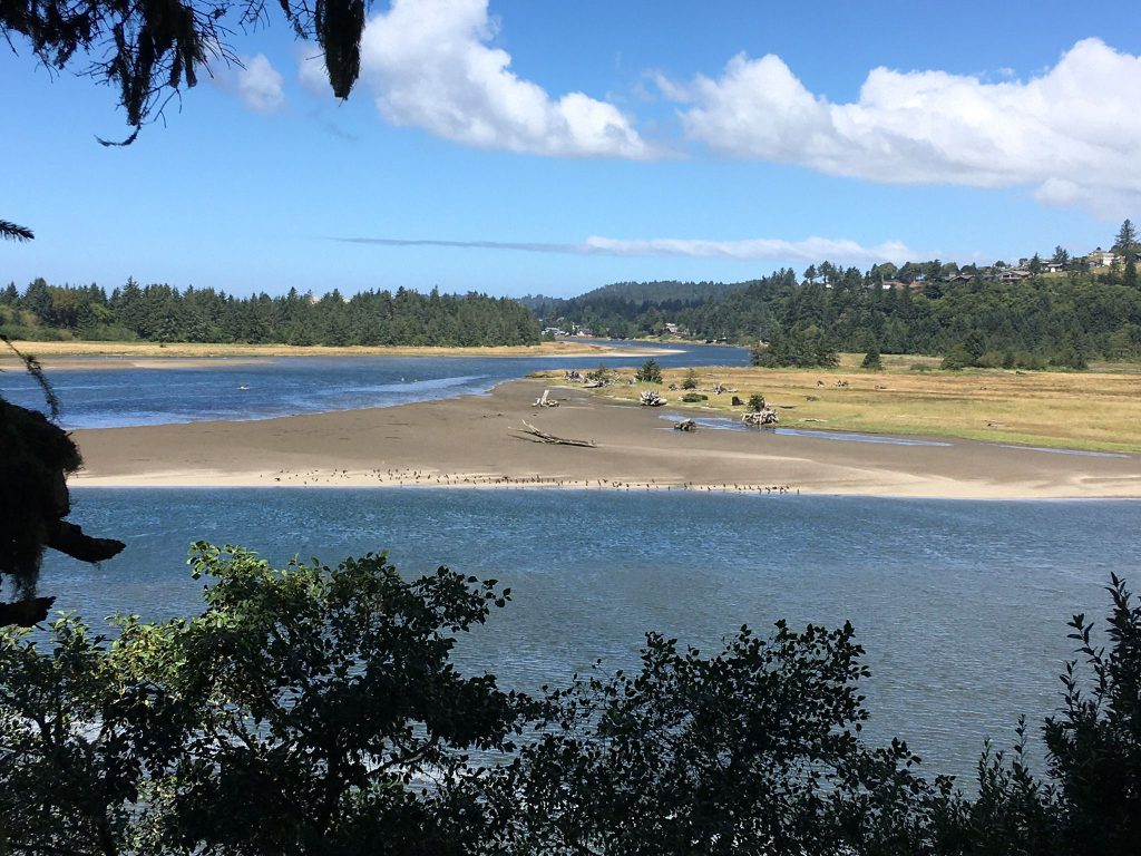 Uncover Hidden Gems: Top 10 Hikes Near Pacific City, Oregon (2023/2024)