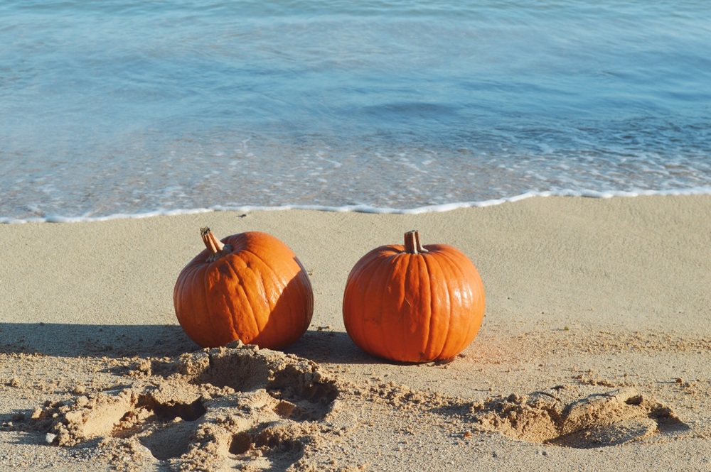Fall in Pacific City on the Beach