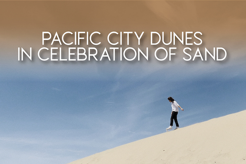 Exploring the Pacific City Dunes: A Guide to Life on the Sand