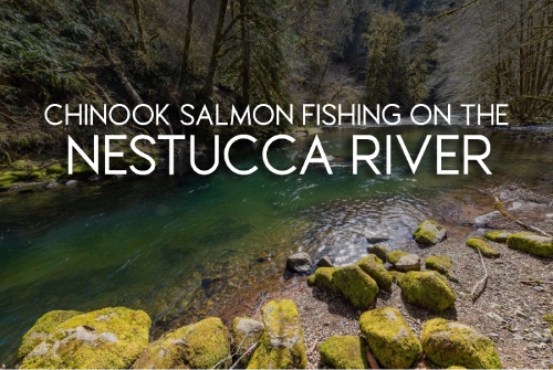 Nestucca River Chinook Salmon Fishing