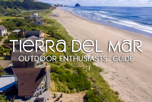 What Are the Best Things to Do in Tierra Del Mar?