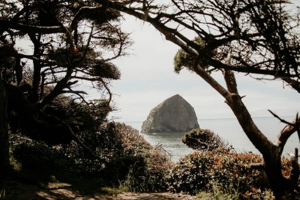 High-angle scenic view framed by pine trees, looking over Cape Kiwanda's coastline and Chief Kiwanda Rock.