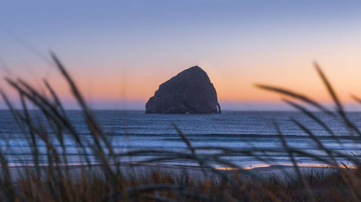 Haystack Rock at sunset, framed by beach grass in the foreground.