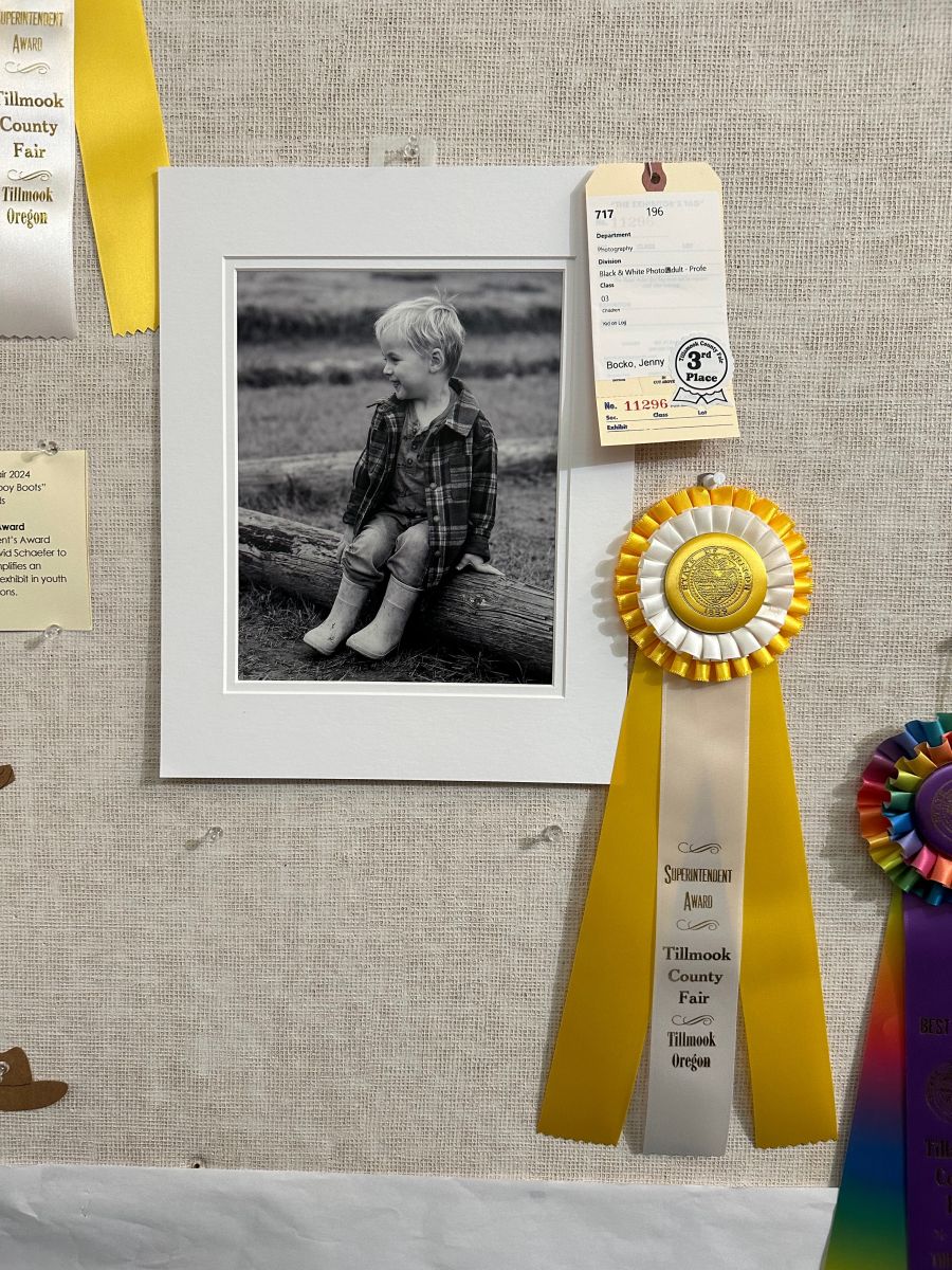 Framed black-and-white photo of a young boy in a plaid shirt sitting on a log, displayed on a corkboard with a yellow award ribbon.