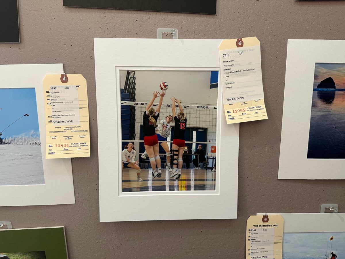 Framed photo of girls playing volleyball, three players leaping to hit a ball at the net during a match on a wall display with exhibit tags nearby.