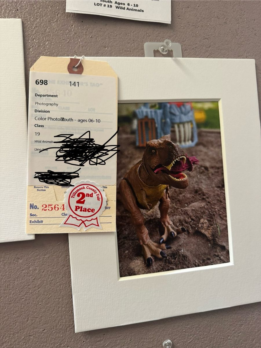 Framed photo of a brown Tyrannosaurus rex model standing in dirt, with an exhibit tag and a red '2nd Place' ribbon attached to the frame.