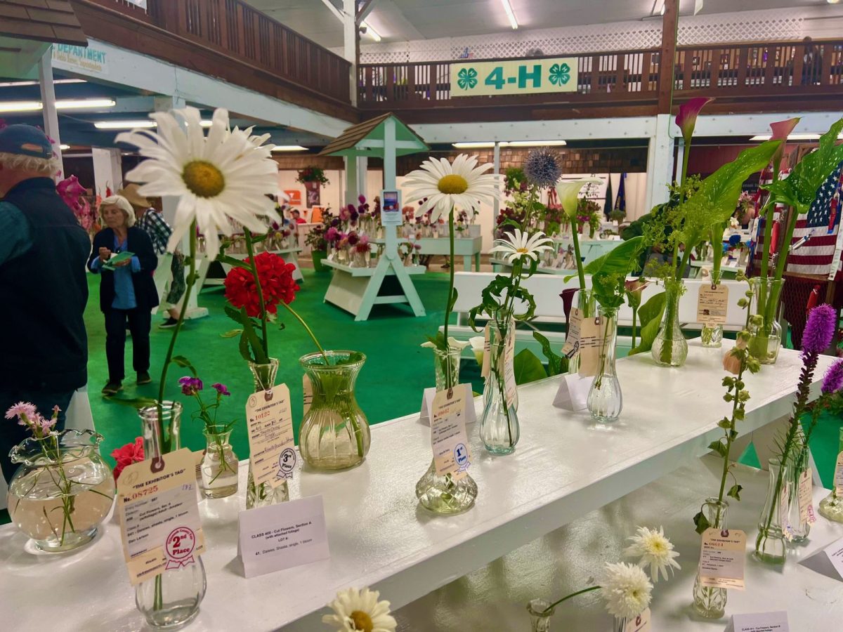 Display of glass vases with tall white daisies and other flowers on a white table at a flower show, 4-H banner overhead in a busy hall.