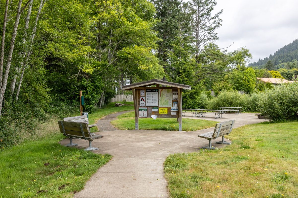 Park information sign and benches