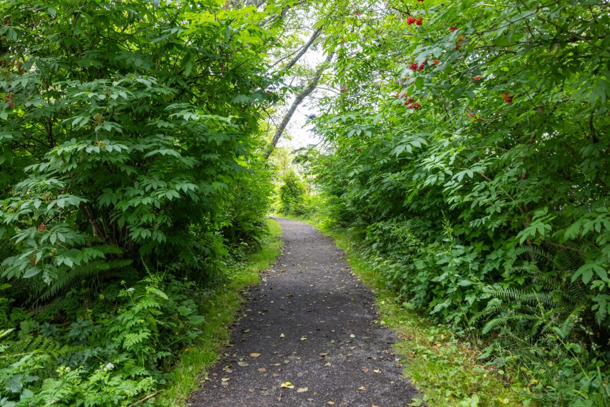 Trail