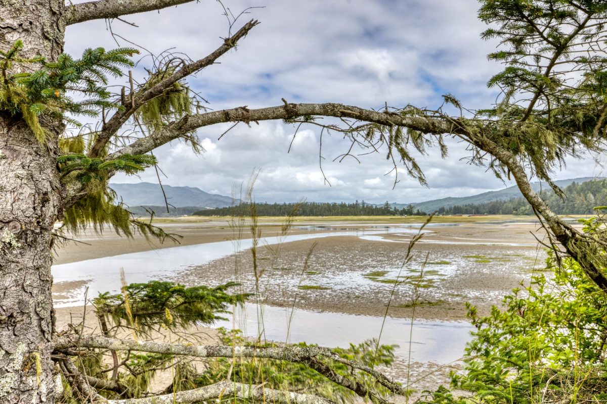 View of estuary