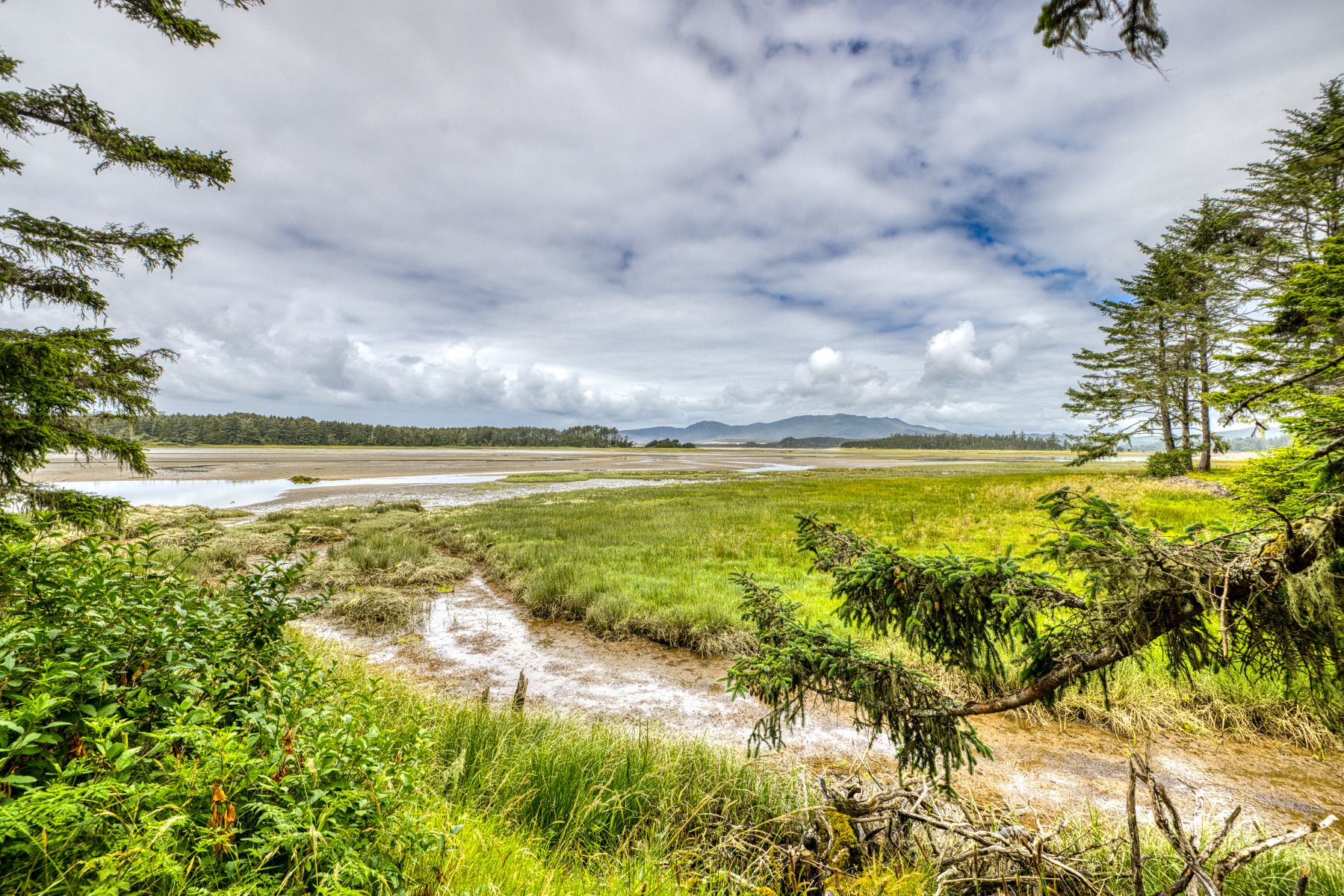 Exciting Things to Do Near Pacific City, Oregon